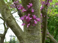 normandie 067.webp
