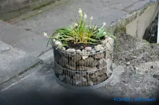 comp_DSC09118.webp