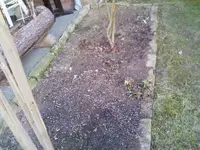 AltesBeetII02_03_13.webp