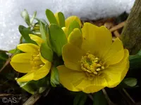P1020238.webp