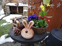 Frühling3.webp