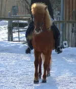 DSCF7775.5.webp