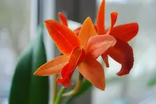 DSC_0078.webp