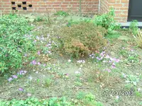 BILD2531.webp
