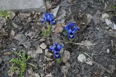 _DSC1153.webp