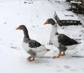 R0023853.webp