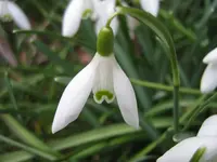 Frühling_3_IMG_5462.webp