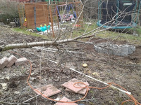 2013-03-07 12.10.52.webp