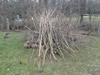 2013-03-07 12.53.11.webp