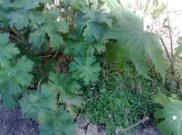 09-2011-1.webp