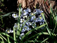 SDC14450.webp