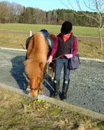 DSCF7883.2.webp
