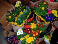 DSCF7914.2.webp