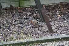 IMG_3367.webp