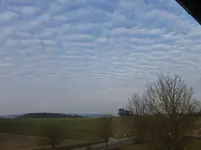 P1040884.webp