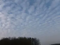 P1040885.webp