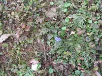 IMG_4757.webp