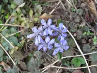 IMG_4758.webp