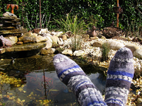 Socken.webp