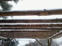 10_3_13Pergola.webp