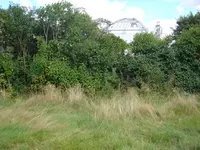 DSC00824.webp