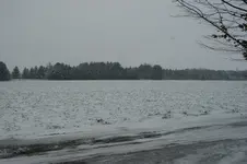 10.03.13-02.webp