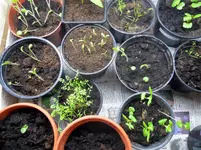 DSCN1523.webp