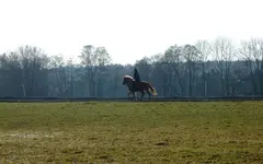 DSCF7835.3.webp