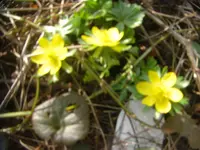CIMG9775.webp