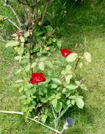 DSC_5730.2.webp