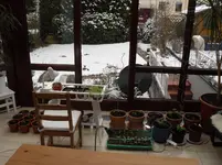 SAM_0475.webp
