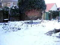 _Winter I.webp