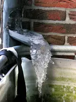 _Winter V.webp