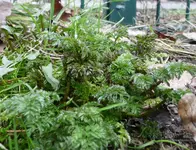 P1050020_klein.webp