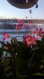 WP_20130312_004.webp
