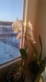 WP_20130312_005.webp