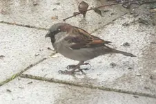 2013_0311Winter0008.webp