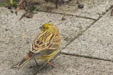 2013_0311Winter0030.webp
