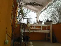 Osterhaase.webp