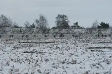 DSC09151.webp
