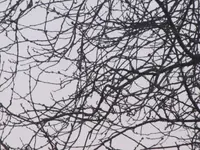 002.webp