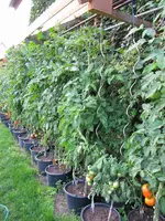 image001.webp