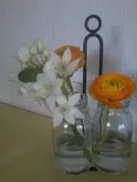 Foto0364.webp