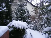 Am Kamin.13.03.2013.webp
