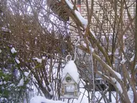 Dekkohäuschen.13.03.2013.webp
