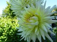 P1020337.webp