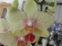 P3130008.webp