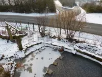 Teich von oben.webp