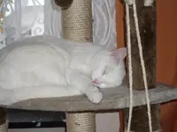 IMGP1840.webp