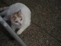 IMGP1918.webp